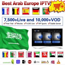 12 Months Cobra Stable Server M3U Arabic Europe IPTV Smarters Smart IPTV Code