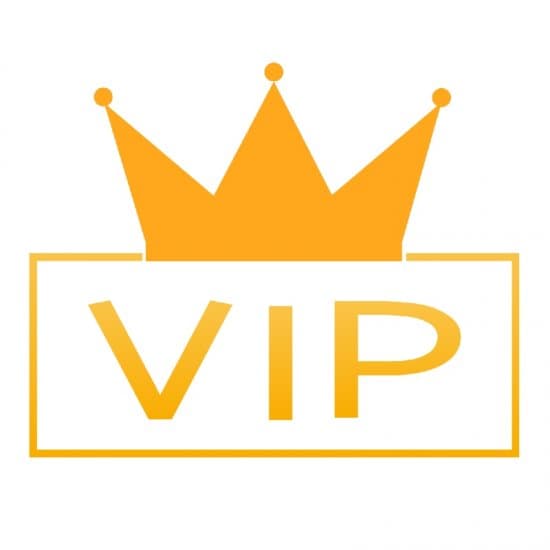 Special Payment Link for VIP Reseller