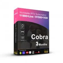 3 Months Hot World Cobra IPTV Code Arabic Europe IPTV Subscription for Smart tv M3u Android IOS Mag Devices