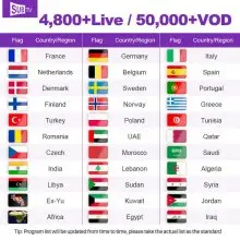6 Months SUBTV IPTV Subscription France IPTV Spain Belgium Germany Sweden Europe IP TV SUBTV Code for Android Box Lxtream Player